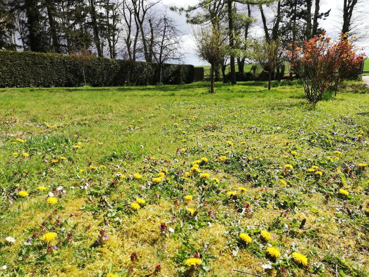 Gite du manoir de Camblain Extérieur photo